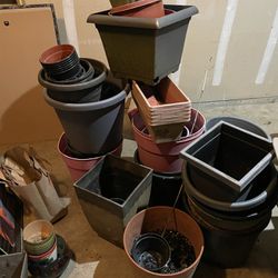 Plant Pots For Free