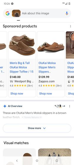 Expensive slippers