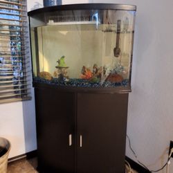 pecera fish tank  36 galons