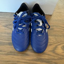 Adidas Soccer ⚽️ Shoes 