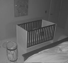 Crib and Newton Mattress