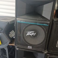 Pevey Speakers 