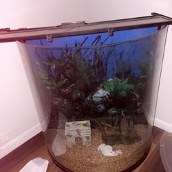 Fish Tank With Miscellaneous Items 