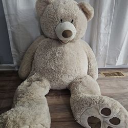 5 Ft Bear