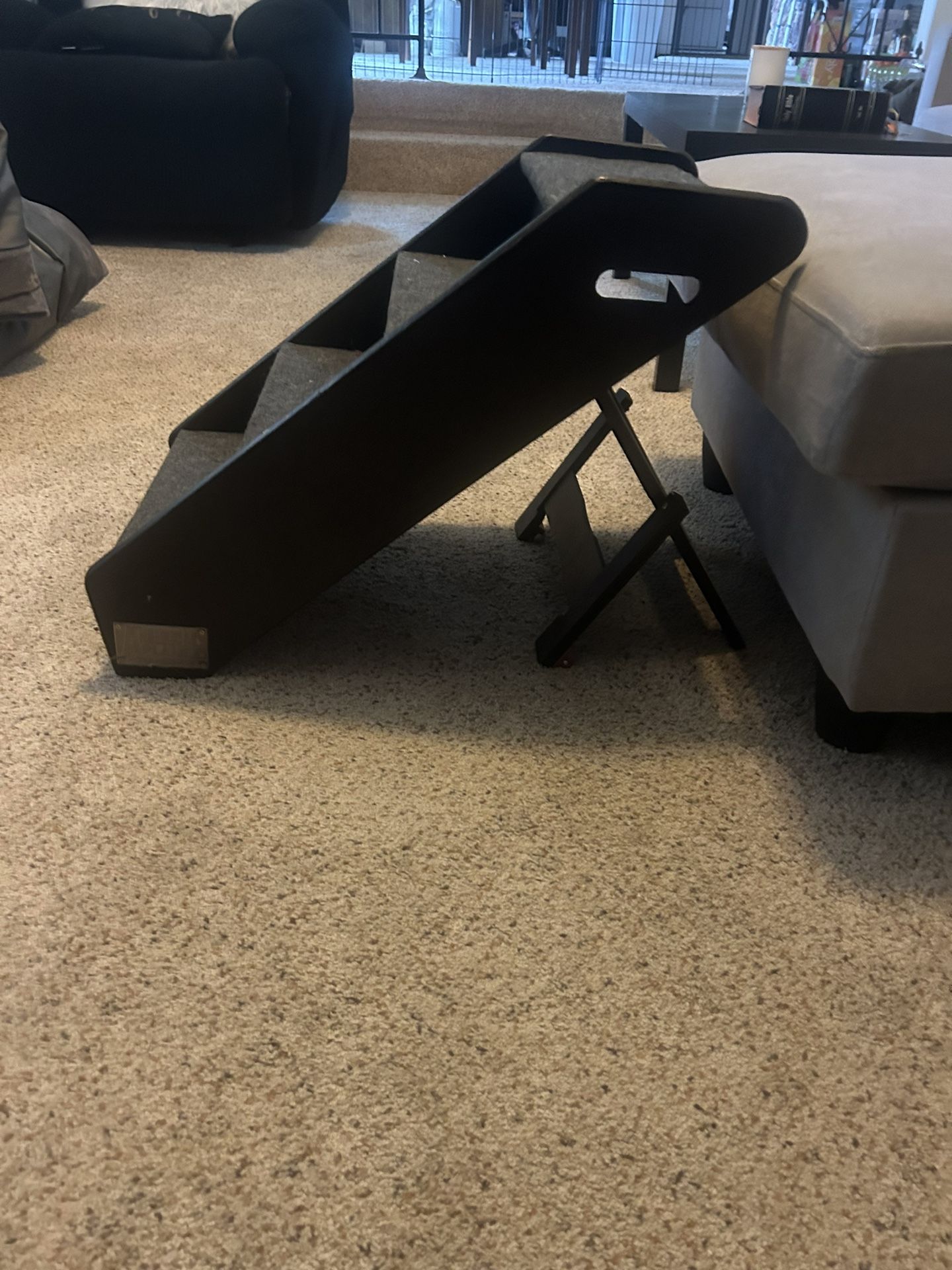Dog Stairs