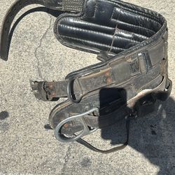 Buckingham Climbing Belt