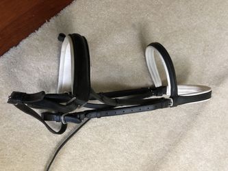 Horse Bridle