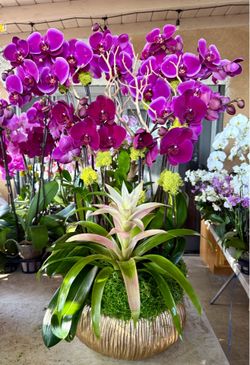 Beautiful orchid arrangement!