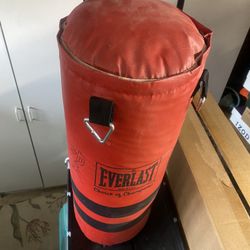 Everlast 40lb Heavy Bag