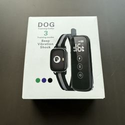 Dog Training Collar