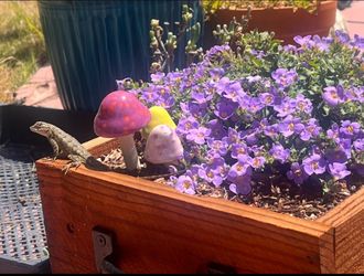 Redwood Garden Planter Box