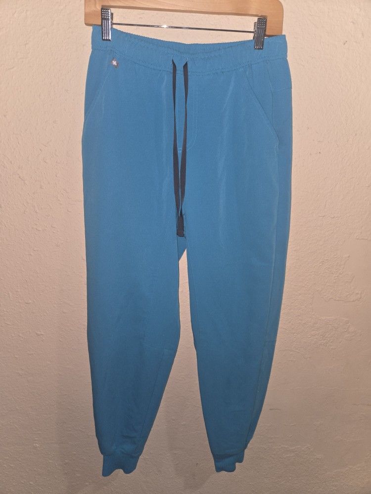 Figs Mens Tansen Jogger Scrub Pants, Blue Medical, Size Small