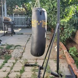 Punching Bag 