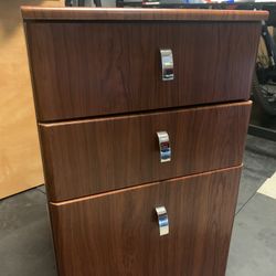 Professional File Cabinet w Wheels