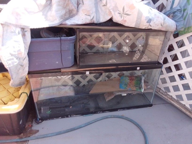 Fishtank And Turtle Tanks 