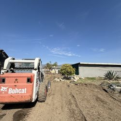 Leveling, Granding & More ‼️