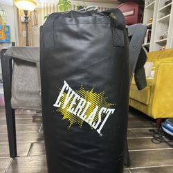 Everlast punching bag 