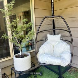 Egg Hanging Chair 
