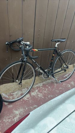 Pure cycles 16 speed road bike (medium)