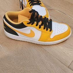 Nike Air Jordans Low Top