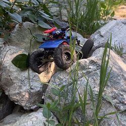 CUSTOM SCX24 with Read Dig 