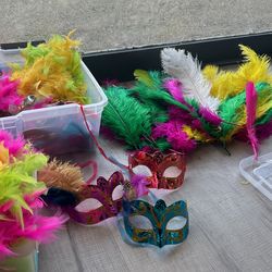 Mardigrass / Caribbean Party/ Feathers 