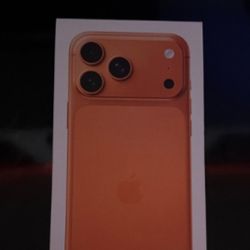 iPhone 17 Orange 