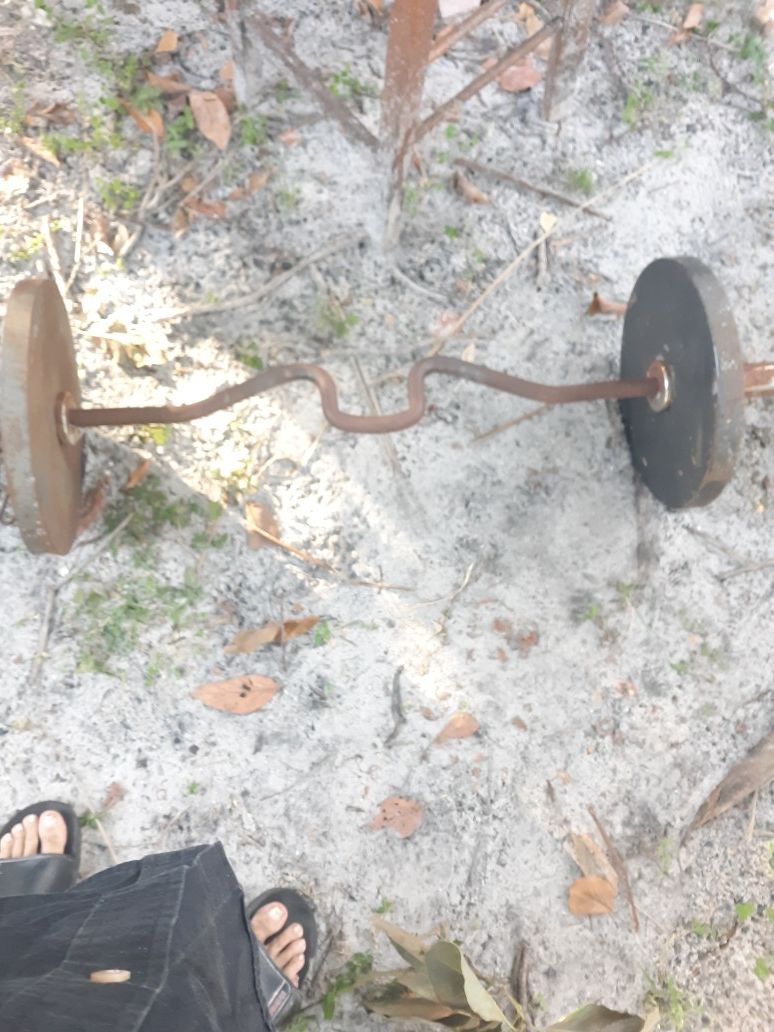 35lb plates and Curling bar with locks