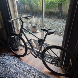 Giant City Bike Adult Size L