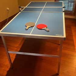 Ping Pong Table 