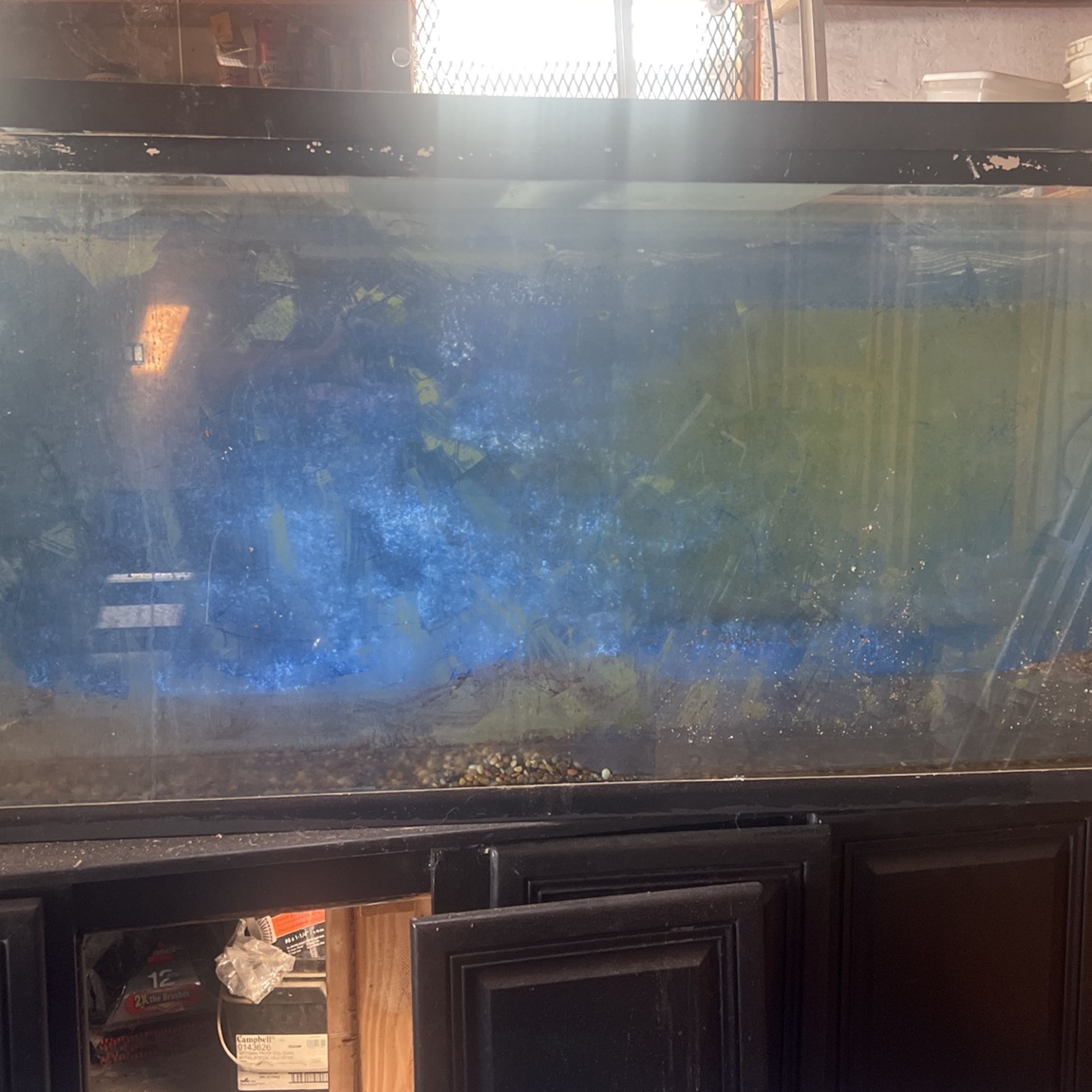 150 gallon 6 foot long which stand