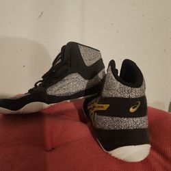Wrestling  Shoes 
