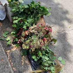 Artificial plant decorations