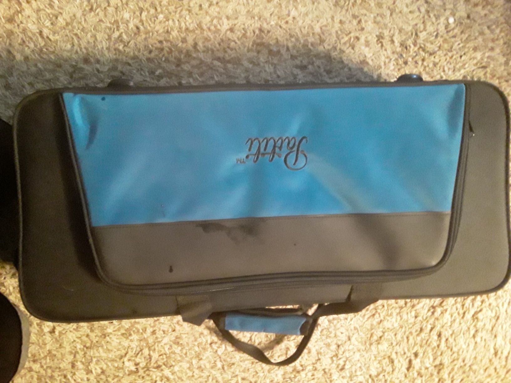 Alto saxophone case with backpack straps