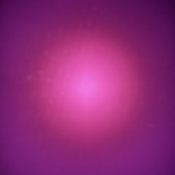 New Balance 550 Collection Plus Vans & Nike