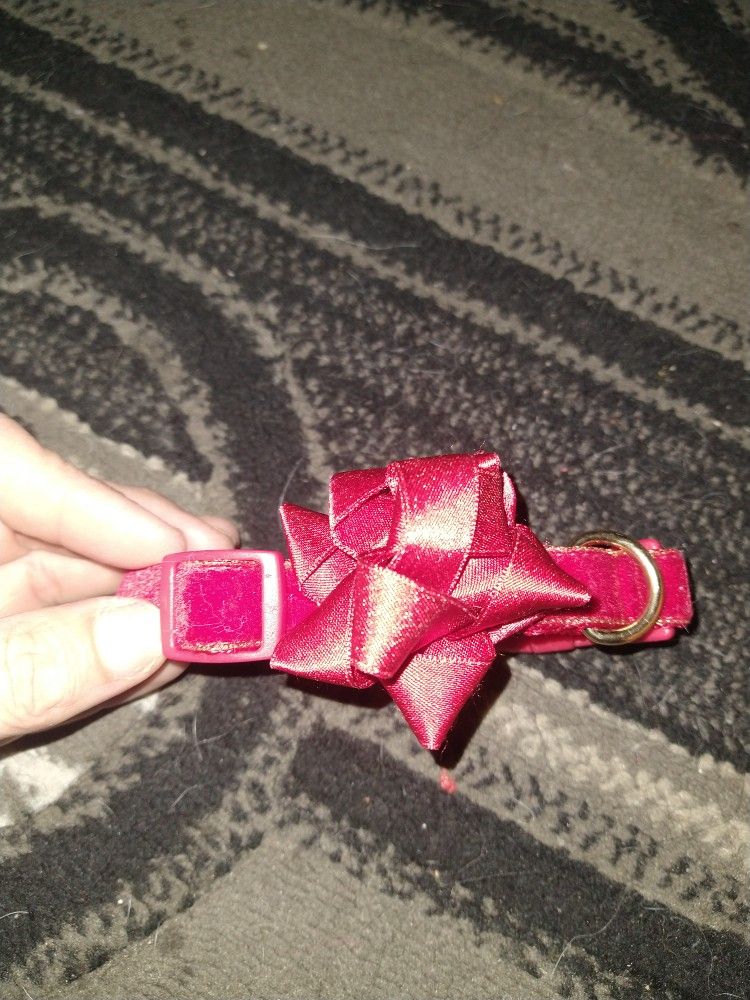 Small Dog Xmas Collar