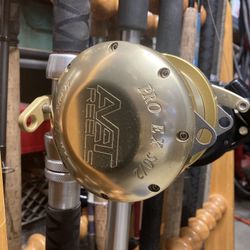 Bigfish Combo Avet Two Speed With Custom Railrod