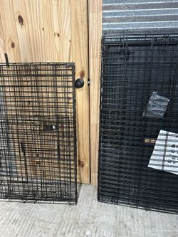 3 Different Kennels