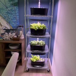 2 AeroGarden Bounty Basic - Indoor Garden with LED Grow Light, Black