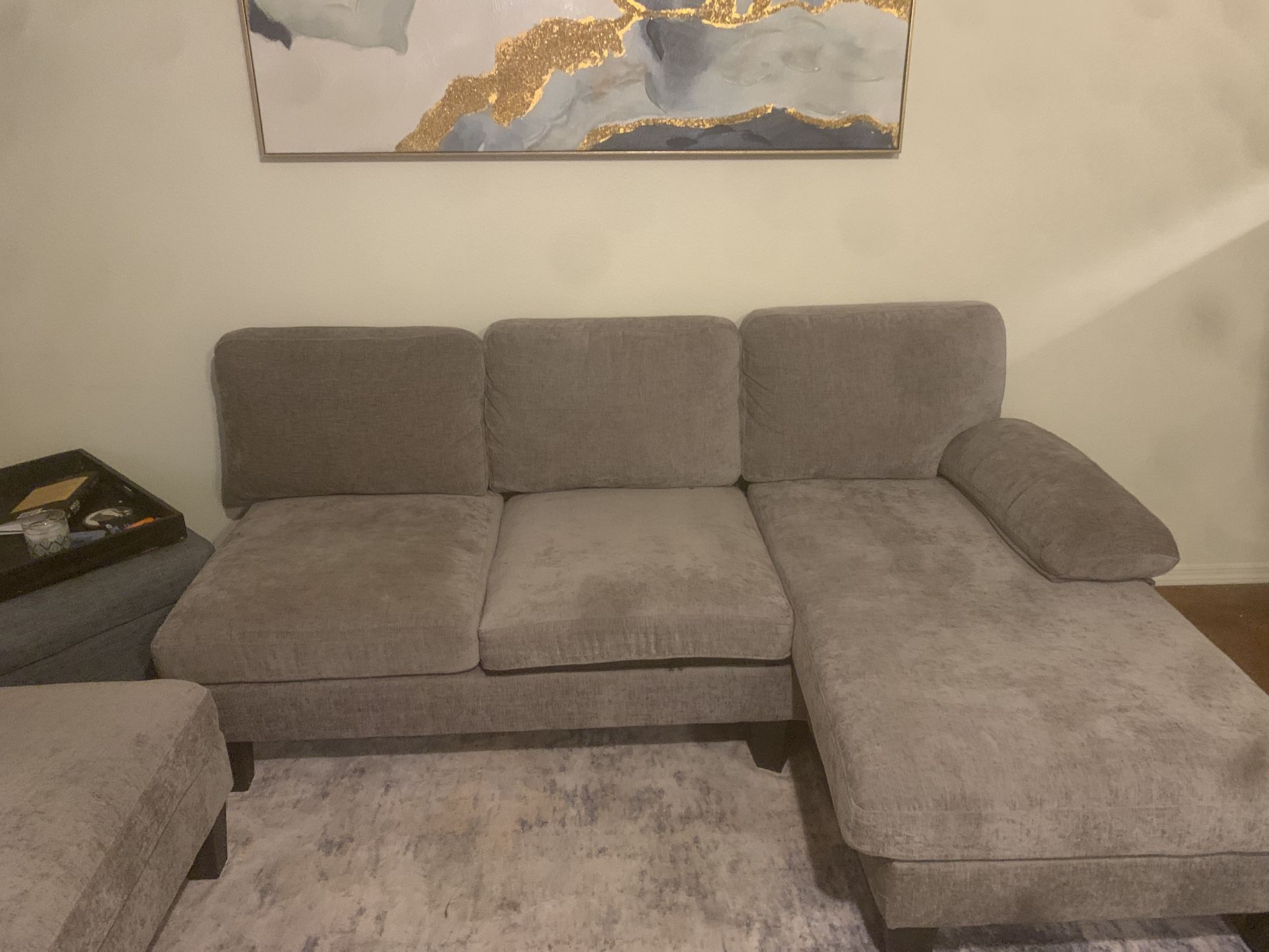 Grey Sectional Couch