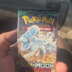 Sun & Moon—Guardians Rising