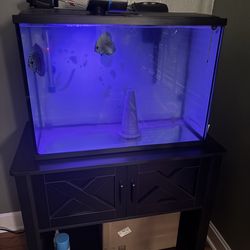 Aquarium 35 gal and wood stand set