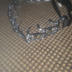 Dog Training Collar