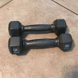 Two  5LBS weights Like New !