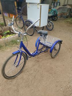 3 wells folding  bicyclet, needs work  I ASK $125.00 cash