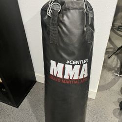 Punching bag 