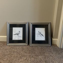 Bird Pictures - Set Of 2 - Songbirds 