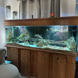 125 Gallon Aquarium with Everything
