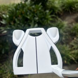 Taylormade Ghost White Spider Putter (with headcover)