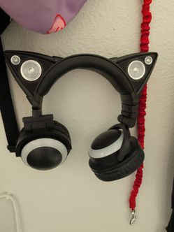 Cat head phones